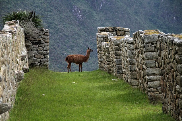 Cuzco au pérou