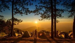 Les accessoires et équipements indispensables pour le camping