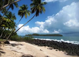 Lire la suite à propos de l’article Randonnée en Guyane : 3 sentiers à faire absolument !