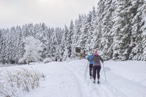 Lire la suite à propos de l’article Quelles stations de ski choisir en Savoie pour vos vacances ?