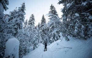 Lire la suite à propos de l’article Vacances d’hiver : les loisirs à réaliser en forêt