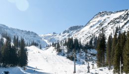 Quelle station de ski pour skieurs débutants dans les Alpes ?