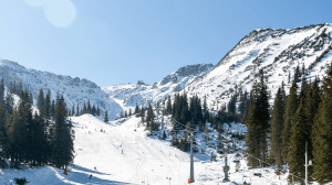 Lire la suite à propos de l’article Quelle station de ski pour skieurs débutants dans les Alpes ?