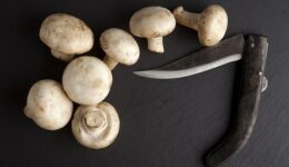Couteau à champignon : le guide complet !