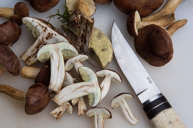 couteau à champignon avec manche en bois