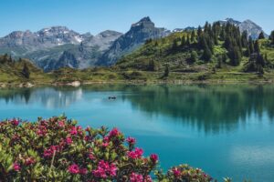 Lire la suite à propos de l’article Comment choisir de bonnes chaussures pour randonner dans les Alpes suisses ?