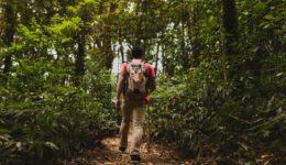Survie en forêt : les 6 compétences essentielles à maîtriser !