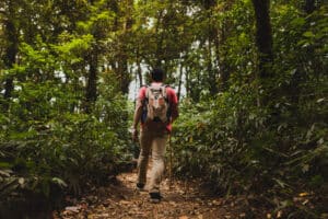 Lire la suite à propos de l’article Survie en forêt : les 6 compétences essentielles à maîtriser !