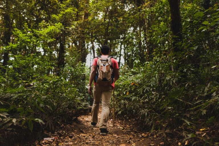 Survie en forêt : les 6 compétences essentielles à maîtriser !