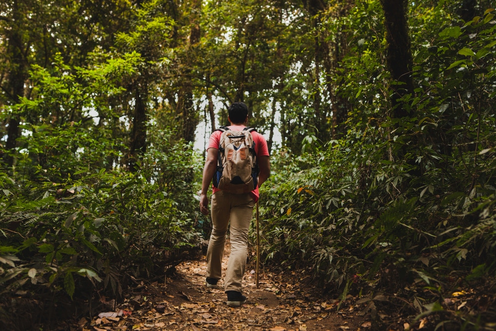 You are currently viewing Survie en forêt : les 6 compétences essentielles à maîtriser !