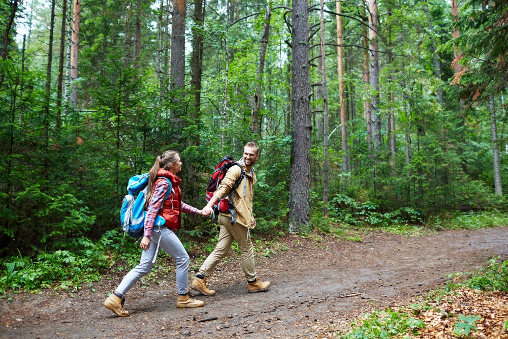 randonnée survivaliste en forêt