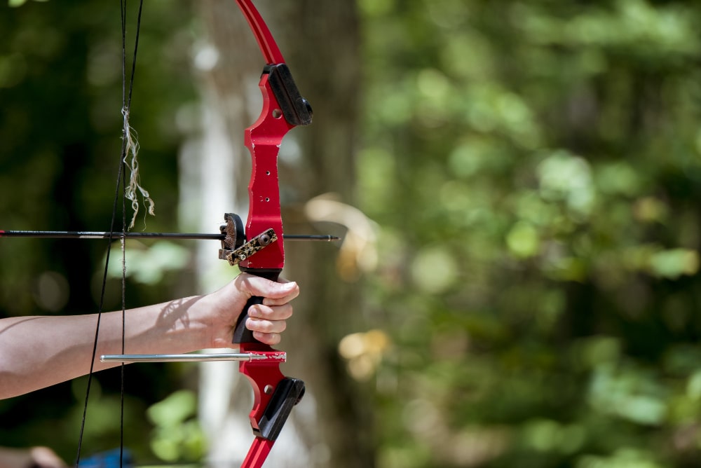 You are currently viewing Comment débuter la chasse au tir à l’arc en France ?