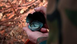 Découvrir la vie en nature grâce à un stage de survie : bien se préparer pour profiter de l’expérience